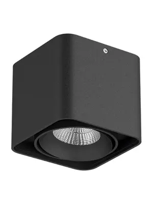 Потолочный светильник Lightstar Monocco 212517