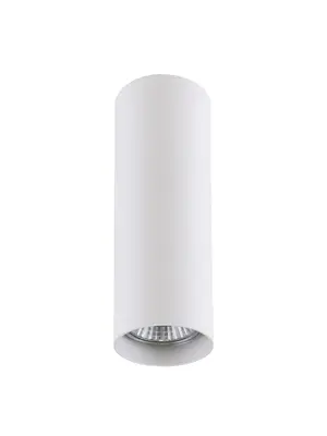 Потолочный светильник Lightstar Rullo 214496