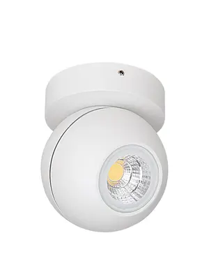 Спот Lightstar Globo 051006