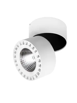 Потолочный светодиодный светильник Lightstar Forte 381363