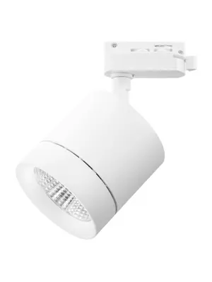 Трековый светодиодный светильник Lightstar Canno Led 301264