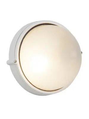 Уличный настенный светильник Brilliant Silvester 96106/05