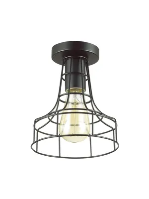 Потолочный светильник Lumion Alfred 3639/1C