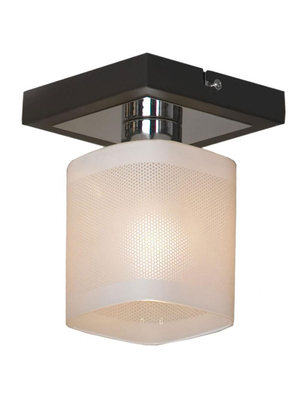 Потолочный светильник Lussole Costanzo LSL-9007-01