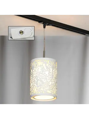 Трековый светильник однофазный Lussole Track Lights LSF-2306-01-TAW