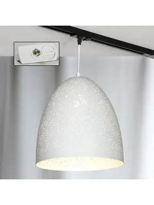 Трековый светильник однофазный Lussole LOFT Track Lights LSP-9891-TAW