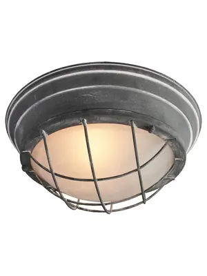 Потолочный светильник Lussole Loft LSP-9881