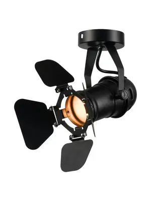 Потолочный светильник Lussole Loft Expression LSP-9838