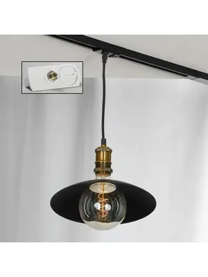 Трековый светильник однофазный Lussole LOFT Track Lights LSP-9670-TAW