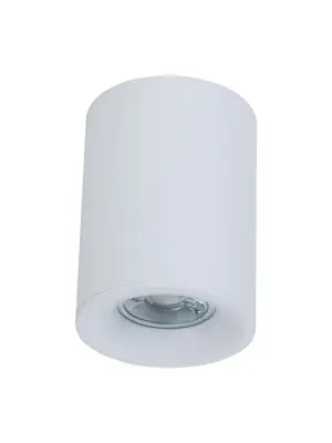 Потолочный светильник Maytoni Alfa C012CL-01W
