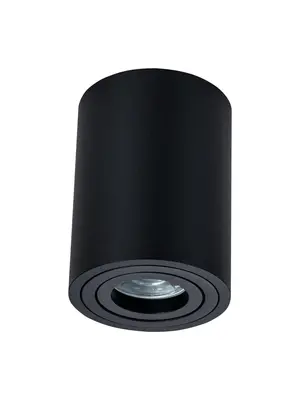 Потолочный светильник Maytoni Alfa C016CL-01B