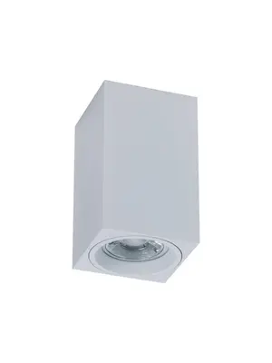 Потолочный светильник Maytoni Alfa C011CL-01W