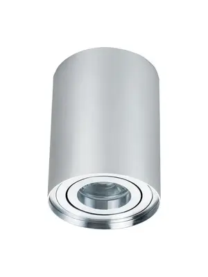 Потолочный светильник Maytoni Alfa C016CL-01S