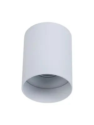 Потолочный светильник Maytoni Alfa C014CL-01W