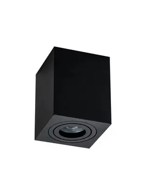 Потолочный светильник Maytoni Alfa C017CL-01B