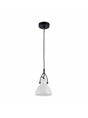 Подвесной светильник Maytoni Daniel MOD407-PL-01-B