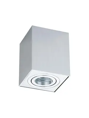 Потолочный светильник Maytoni Alfa C017CL-01S