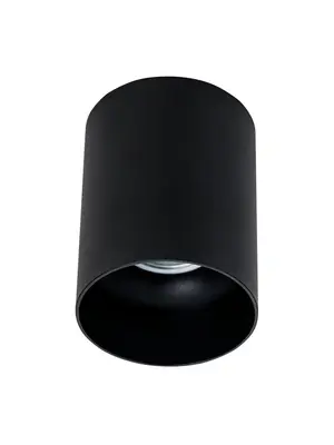 Потолочный светильник Maytoni Alfa C014CL-01B