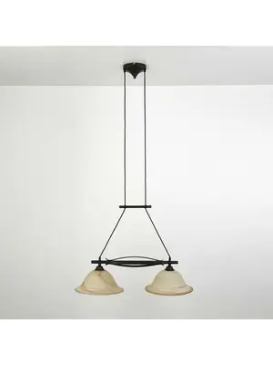 Подвесной светильник Brilliant Fiore 81971/58