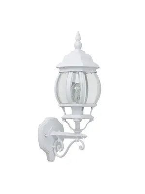 Уличный настенный светильник Brilliant Istria 48681/05