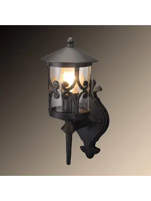 Уличный настенный светильник Arte Lamp Persia A1451AL-1BK