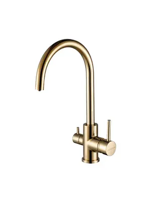Смеситель для кухни Paulmark Essen Es213211-G золото