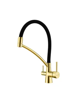 Смеситель для кухни Paulmark Siegen Si213111-G золото