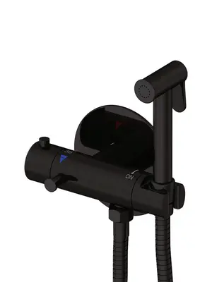 Встроенный гигиенический душ со смесителем для биде Rose R915H