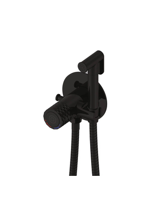 Смеситель с гигиеническим душем Rose R225H