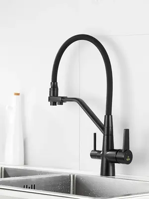 Смеситель для кухни с гибким изливом и фильтром Rose R558H