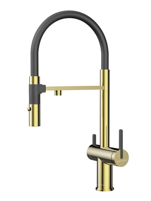 Смеситель для кухни Paulmark Starke Gravity Gr213888-G под фильтр с гибким изливом золото