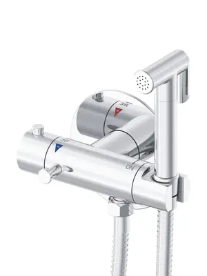 Встроенный гигиенический душ со смесителем для биде Rose R915