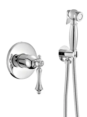 Встроенный гигиенический душ со смесителем для биде Rose R0105