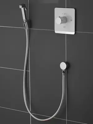 Встроенный гигиенический душ со смесителем для биде Rose R105C