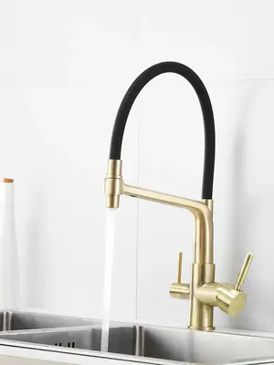 Смеситель для кухни с гибким изливом и фильтром Rose R658Q