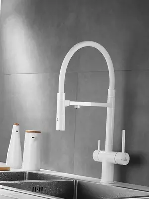 Смеситель для кухни с гибким изливом и фильтром Rose R958C