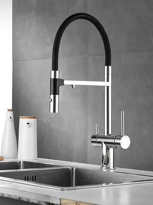 Смеситель для кухни с гибким изливом и фильтром Rose R958