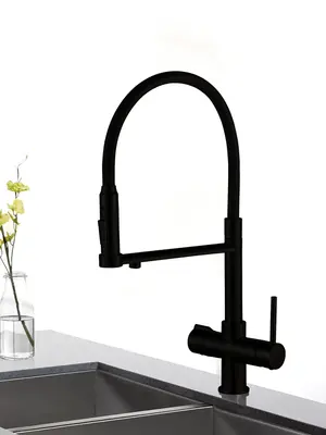 Смеситель для кухни с гибким изливом и фильтром Rose R758H