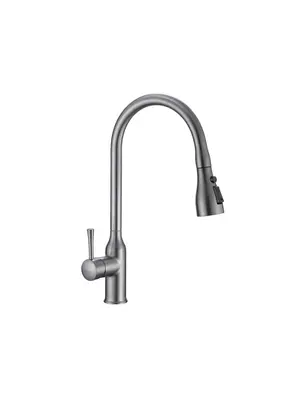 Смеситель для кухни с выдвижным изливом Shevanik S163T