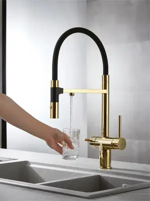 Смеситель для кухни с гибким изливом и фильтром Rose R958E