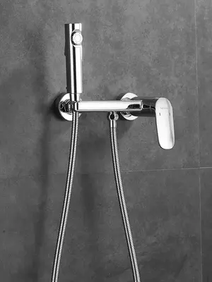 Гигиенический душ со смесителем для туалета (биде) Shevanik S8505-1