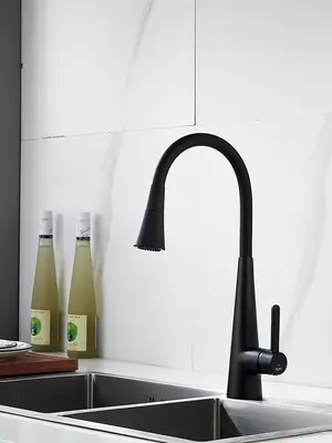 Смеситель для кухни с гибким изливом и душем Rose R213H