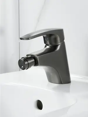 Смеситель для биде на унитаз Shevanik S5007T