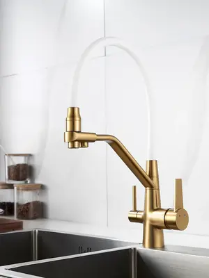 Смеситель для кухни с гибким изливом и фильтром Rose R558G