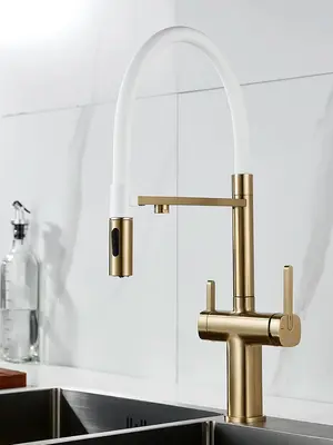 Смеситель для кухни с гибким изливом и фильтром Rose R358G