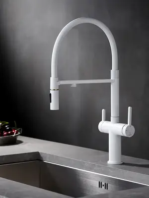 Смеситель для кухни с гибким изливом и фильтром Rose R458C