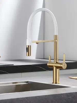 Смеситель для кухни с гибким изливом и фильтром Rose R458G