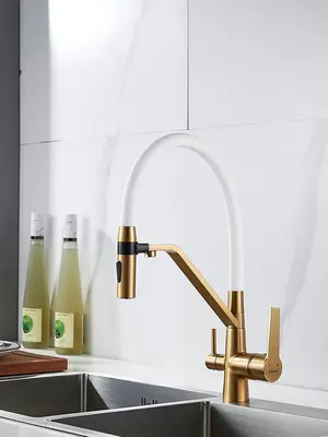 Смеситель для кухни с гибким изливом и фильтром Shevanik S278G