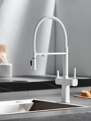 Смеситель для кухни с гибким изливом и фильтром Rose R358C