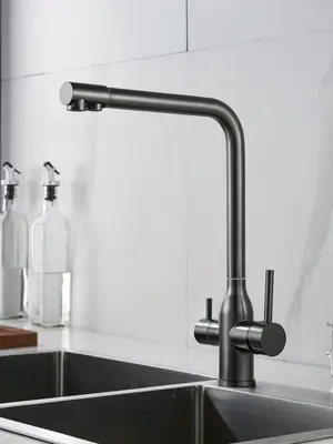 Смеситель на кухню для мойки с фильтром Shevanik S248T